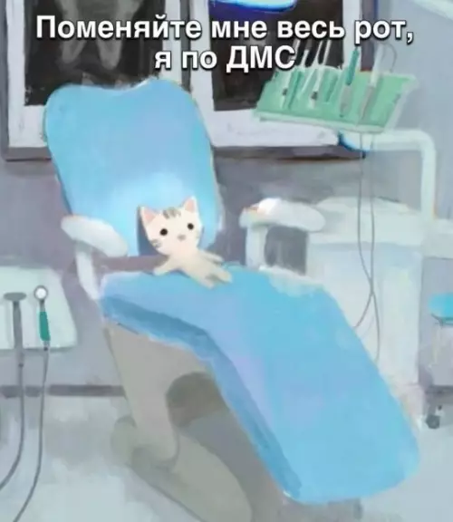 Когда поход к стоматологу — это слишком 🙀 - Поменяйте мне весь рот, я по ДМС