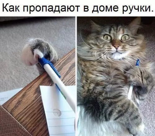 Смешная картинка №245718