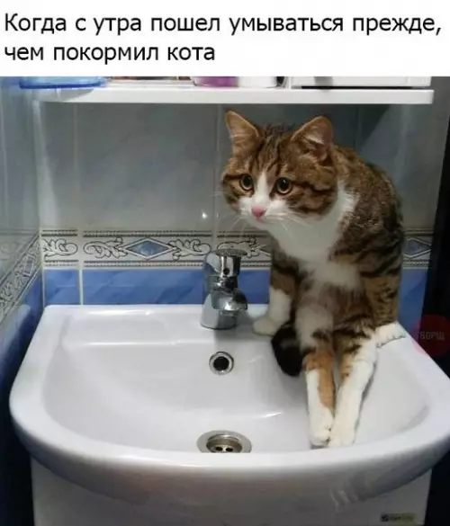 Смешная картинка №215463