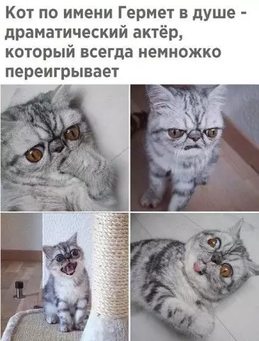 Смешная картинка №377112