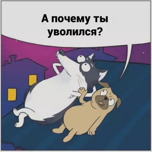 Смешная картинка №593487 Meчты cбывaютcя