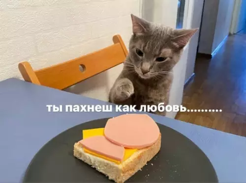 Смешная картинка №736766