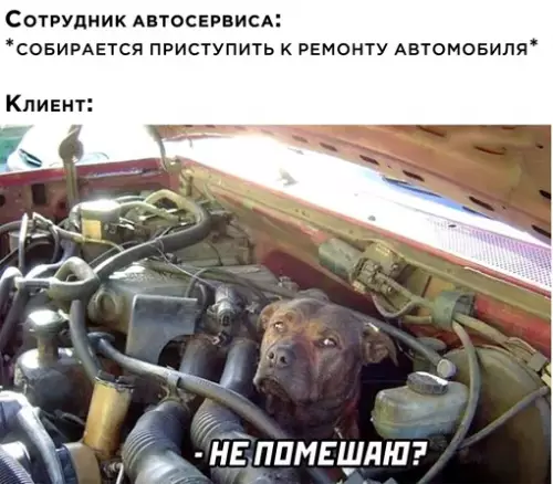 Смешная картинка №674514