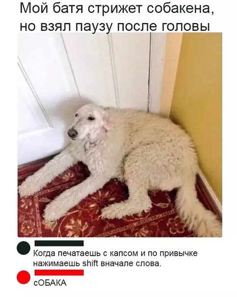 Смешная картинка №347750 Такие дела.