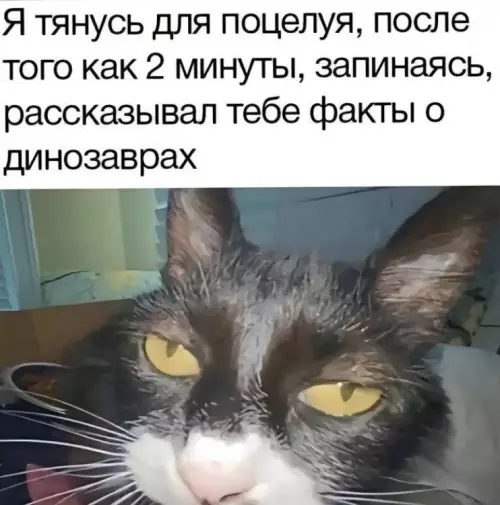 Смешная картинка №727105