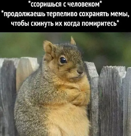 Смешная картинка №674242