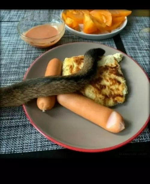 Смешная картинка №791767 Ваш завтрак, сэр!