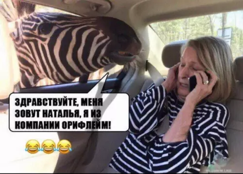 Смешная картинка №393660