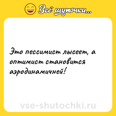 Шутка: Это пессимист лысеет, а оптимист становится аэродинамичней!