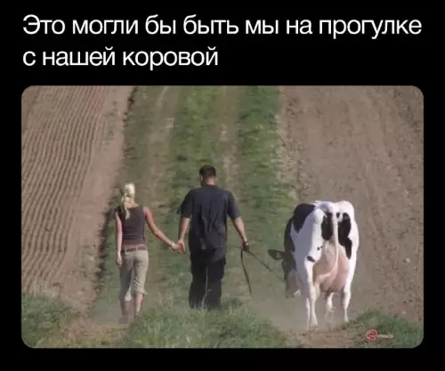 Смешная картинка №663624 это могли бы быть мы