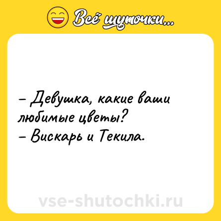Шутка: – Девушка, какие ваши любимые цветы?<br>– Вискарь и Текила.