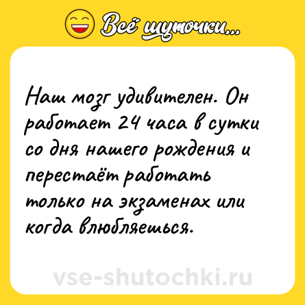 Шутка: Наш мозг удивителен. Он работает 24 часа в сутки со дня нашего рождения и перестаёт работать только на экзаменах или когда влюбляешься.