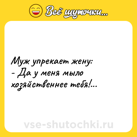 Шутка: Муж упрекает жену:<br>- Да у меня мыло хозяйственнее тебя!...
