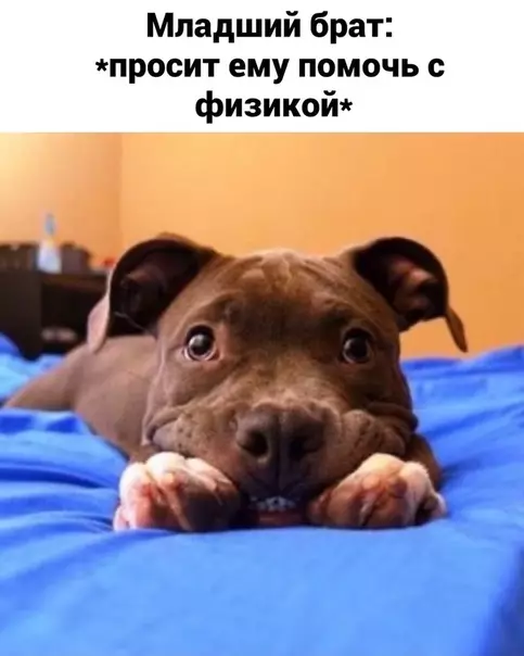 Смешная картинка №536542