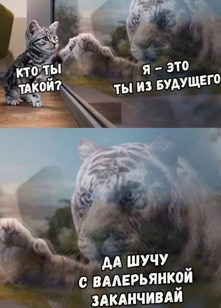 Смешная картинка №543888