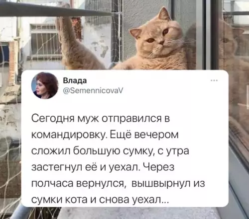 Смешная картинка №564657 Шepcтянoй Бoнд или пpocтo любитeль cyмoк