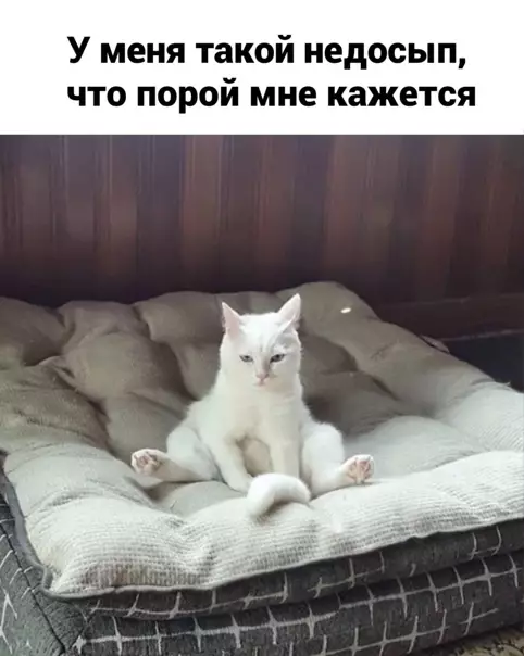 Смешная картинка №545331