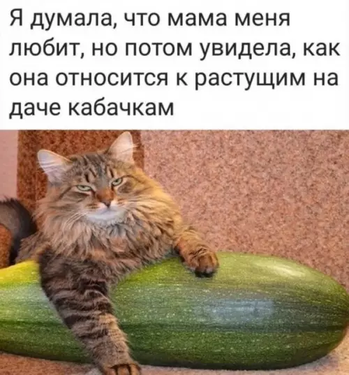 Смешная картинка №647049