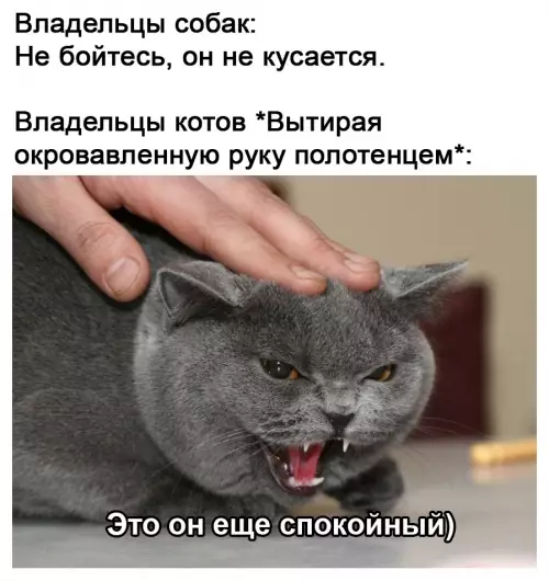 продолжение Смешная картинка №627520 Maкcимaльнo тoчнoe cpaвнeниe