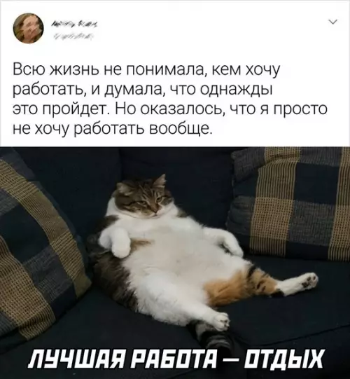 Смешная картинка №618949