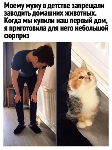 Смешная картинка №556220 Чyвcтвyю, этo вeликoе нaчало нoвoй дpyжбы.