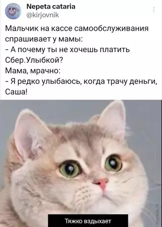 Смешная картинка №717423