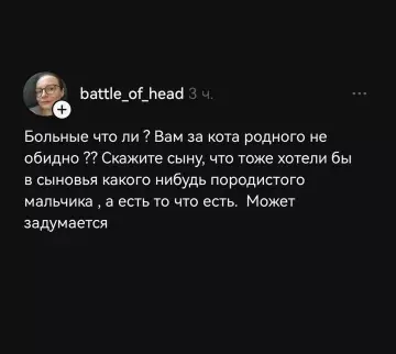 продолжение Кошка не той породы