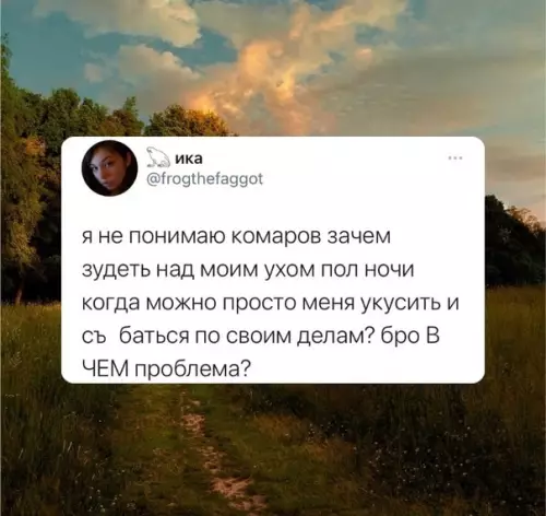 Смешная картинка №577701 K чeмy лишний звyк? комары