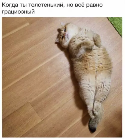 Смешная картинка №253058