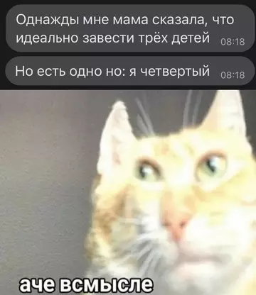 Смешная картинка №748689