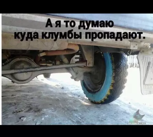 Смешная картинка №354616