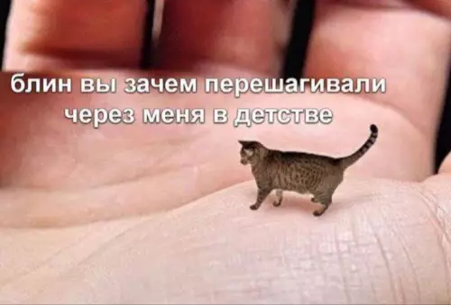 Смешная картинка №719069
