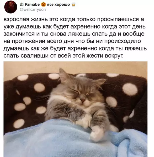 Смешная картинка №537223 И так каждый день.