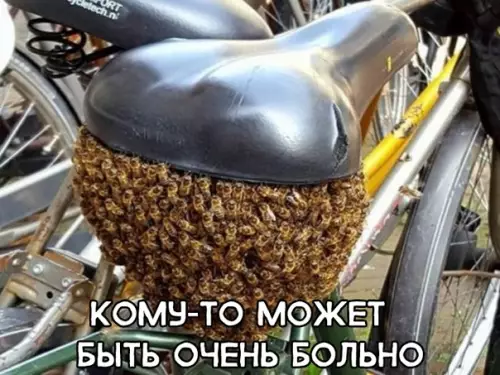 Смешная картинка №294595