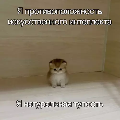Смешная картинка №745067