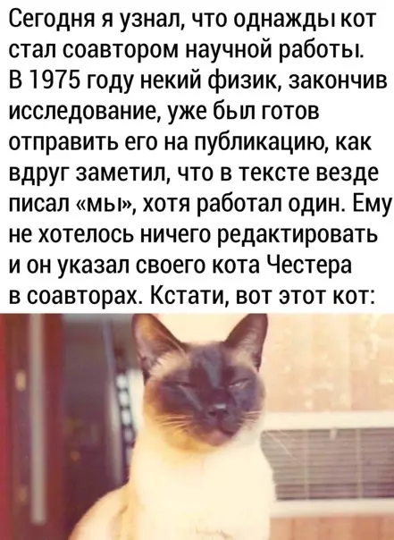 Смешная картинка №551480 Так вот ты какой, кот-учёный