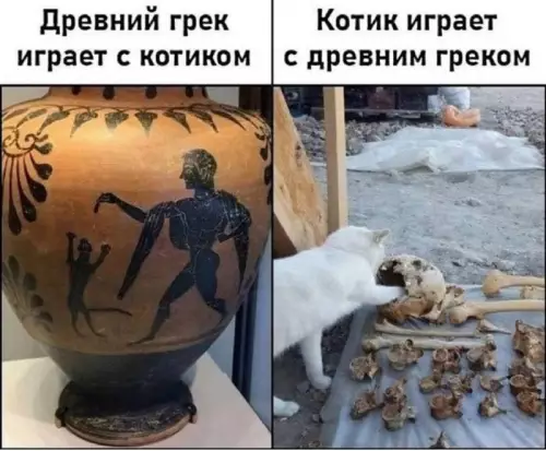 Смешная картинка №705755