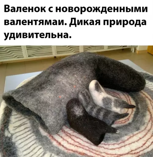 Смешная картинка №698804