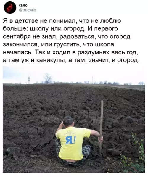 Смешная картинка №516925 Огород... Как много боли в этом слове.... школа