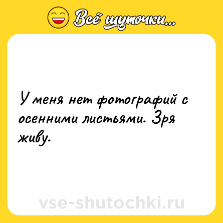 Шутка: У меня нет фотографий с осенними листьями. Зря живу.