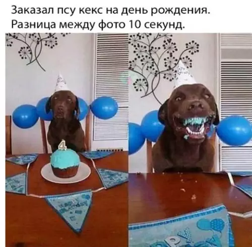 Смешная картинка №266734