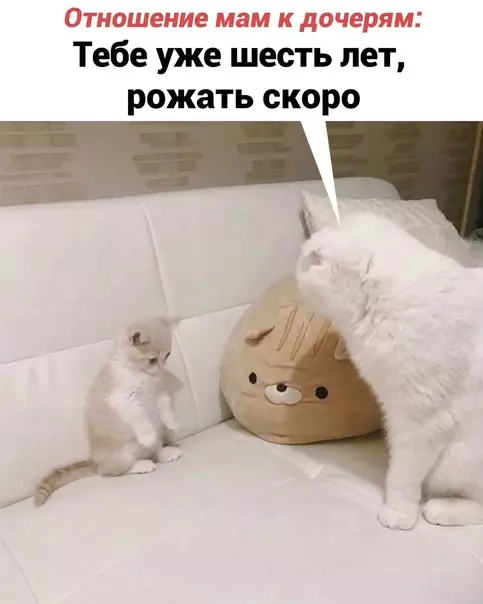 продолжение Смешная картинка №578278