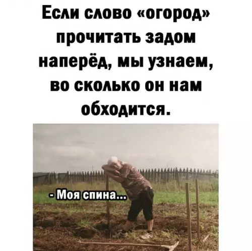 Смешная картинка №721676