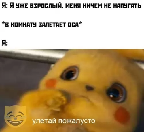 Смешная картинка №378349 #приколы #картинки #мемы ?