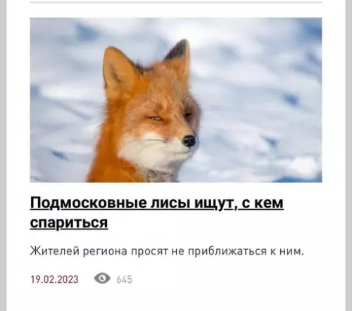 Смешная картинка №675412 Животные