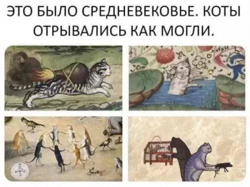 Смешная картинка №656401
