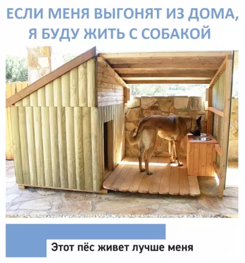 Смешная картинка №394693