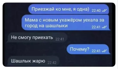 Когда шашлыки важнее кекса 🍖😂 - Приезжай ко мне, я одна) Мама с новым ухажёром уехала