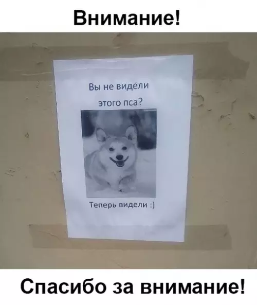 Смешная картинка №346487
