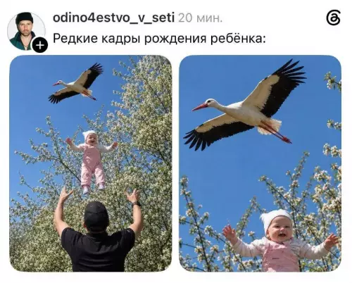Аист занесло на повороте 🤡 - Редкие кадры рождения ребенка: